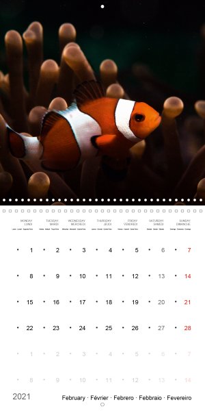 202102_Calender_2021_underwater_My_home_is_my_castle_Clownfish_february
