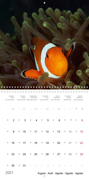 202108_Calender_2021_underwater_My_home_is_my_castle_Clownfish_august