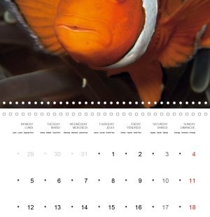 202104_Calender_2021_underwater_My_home_is_my_castle_Clownfish_april
