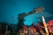 Thistlegorm Wrack