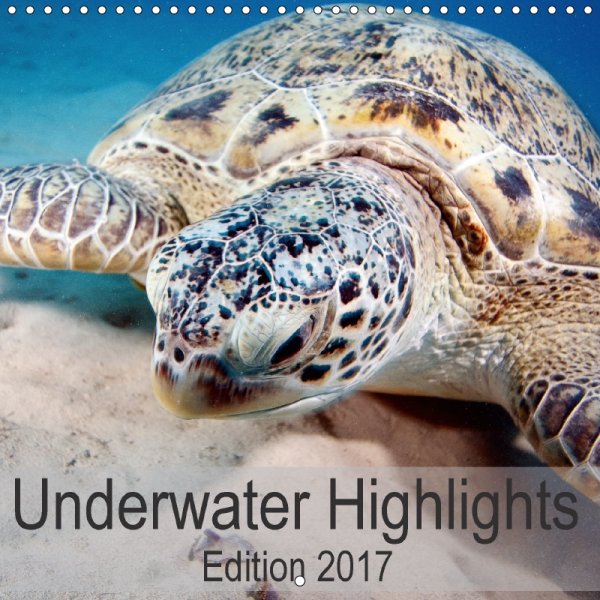 Underwater Calendar